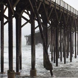 Meet your Posher, Carolyn